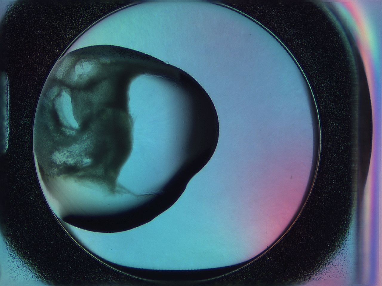 0585_H6_ImagerDefaults_3.jpg