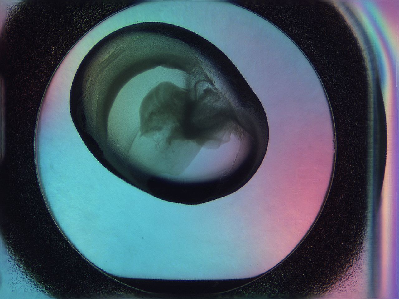 0585_H7_ImagerDefaults_3.jpg