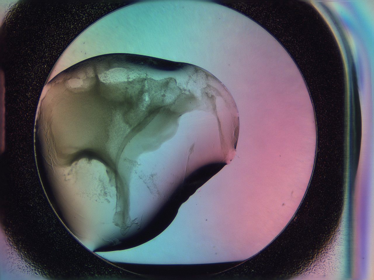 0585_H8_ImagerDefaults_3.jpg