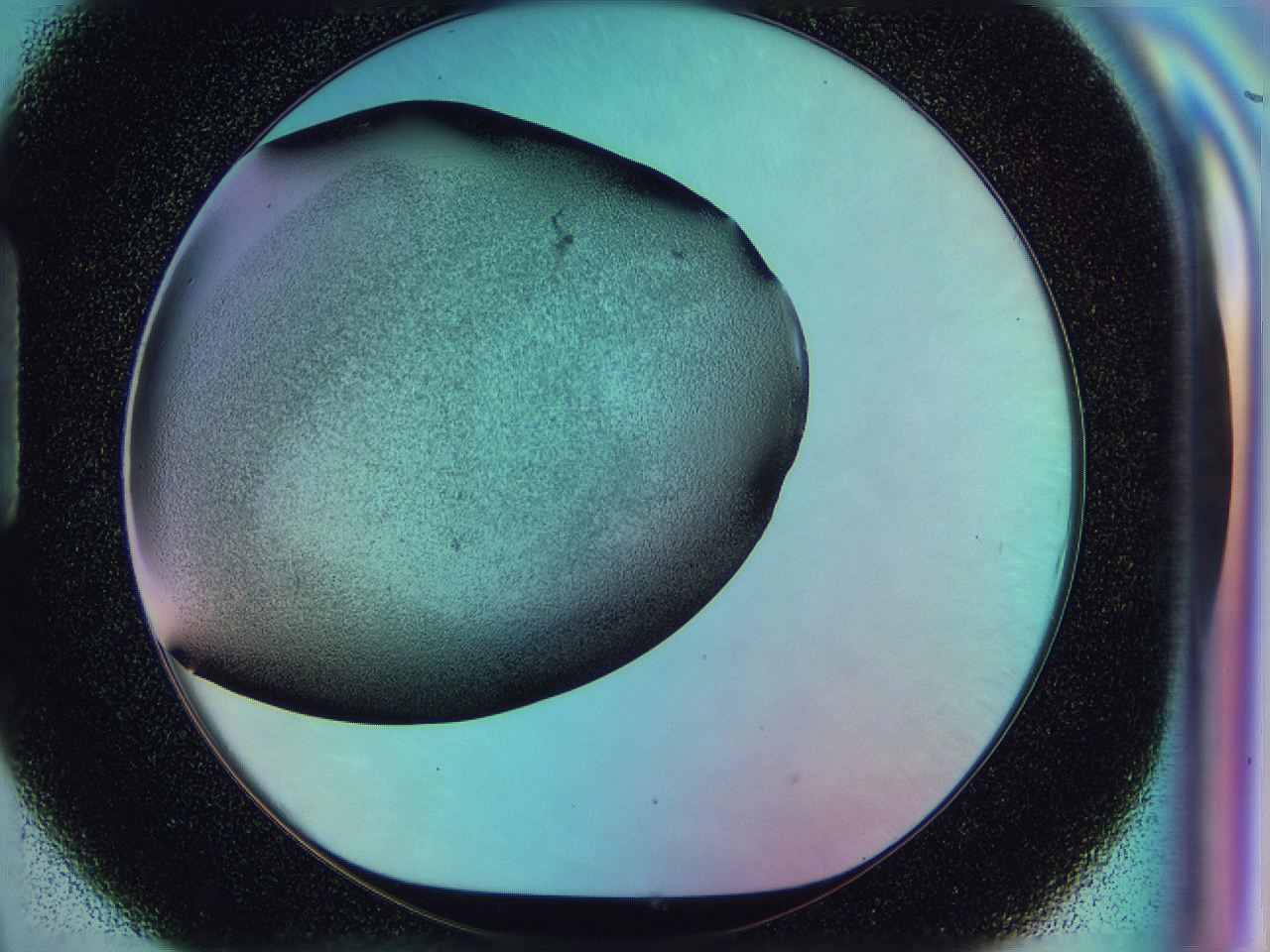 0585_H9_ImagerDefaults_3.jpg