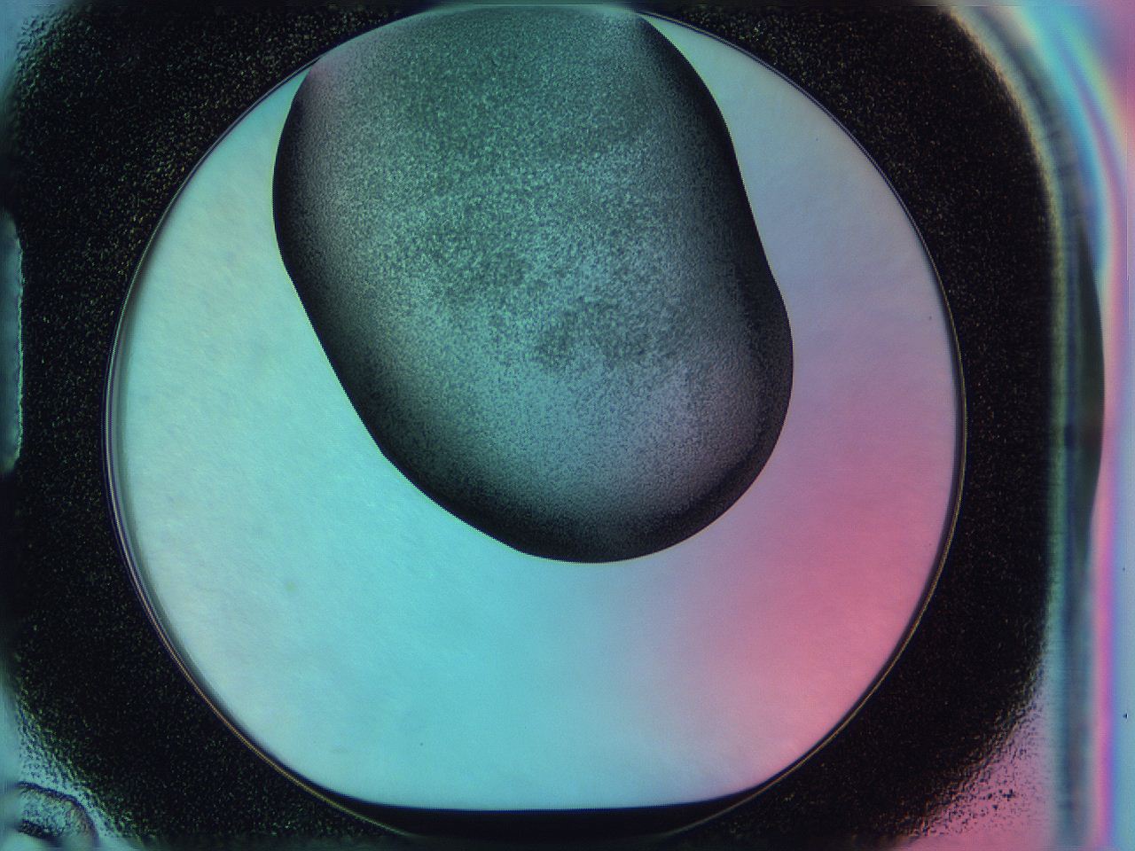 0585_H10_ImagerDefaults_3.jpg