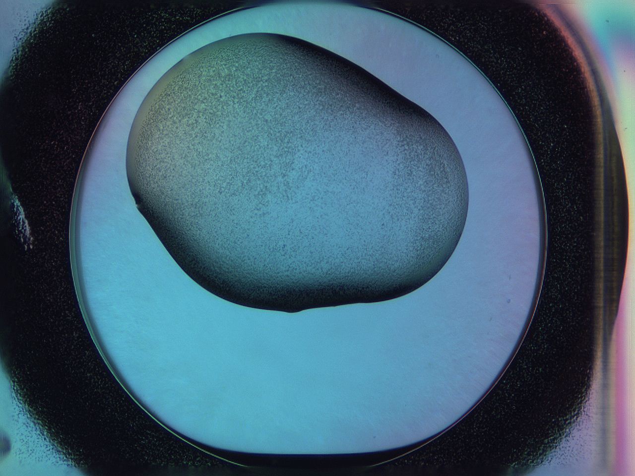 0586_A5_ImagerDefaults_2.jpg
