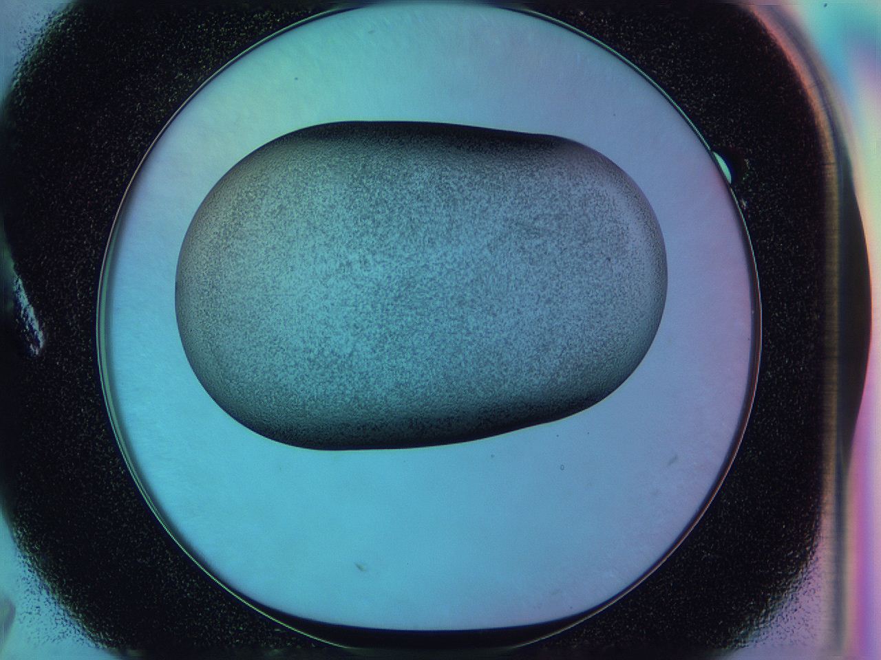 0586_A7_ImagerDefaults_2.jpg