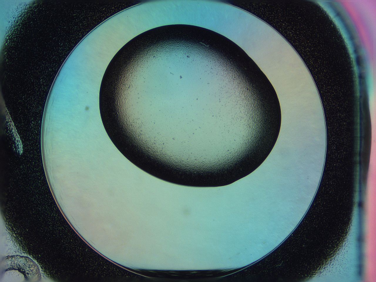 0586_A12_ImagerDefaults_2.jpg