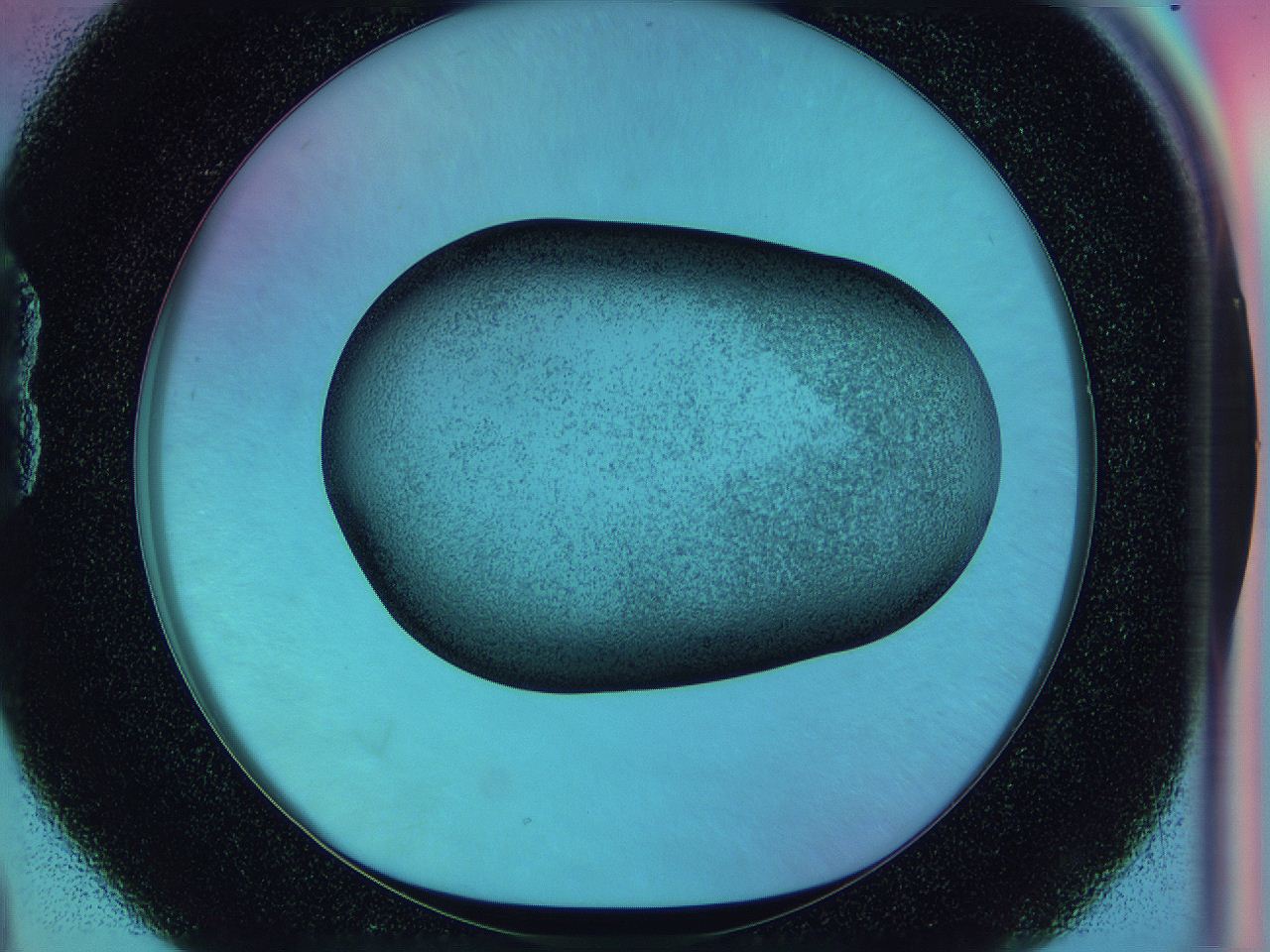 0586_B4_ImagerDefaults_3.jpg