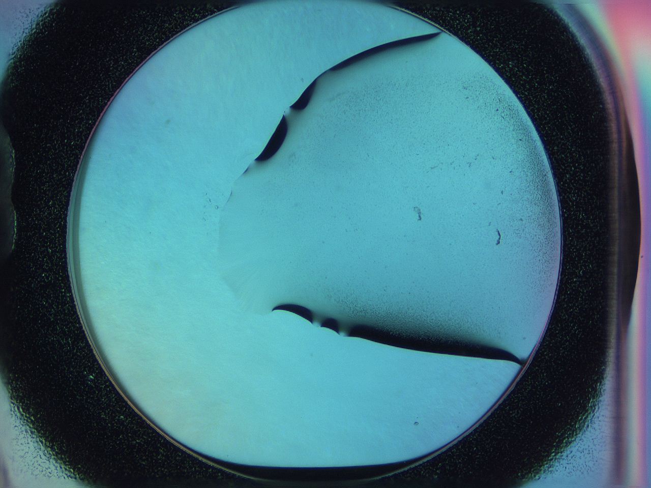 0586_B9_ImagerDefaults_2.jpg