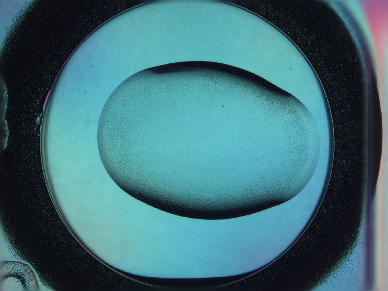 0586_B10_ImagerDefaults_2.jpg