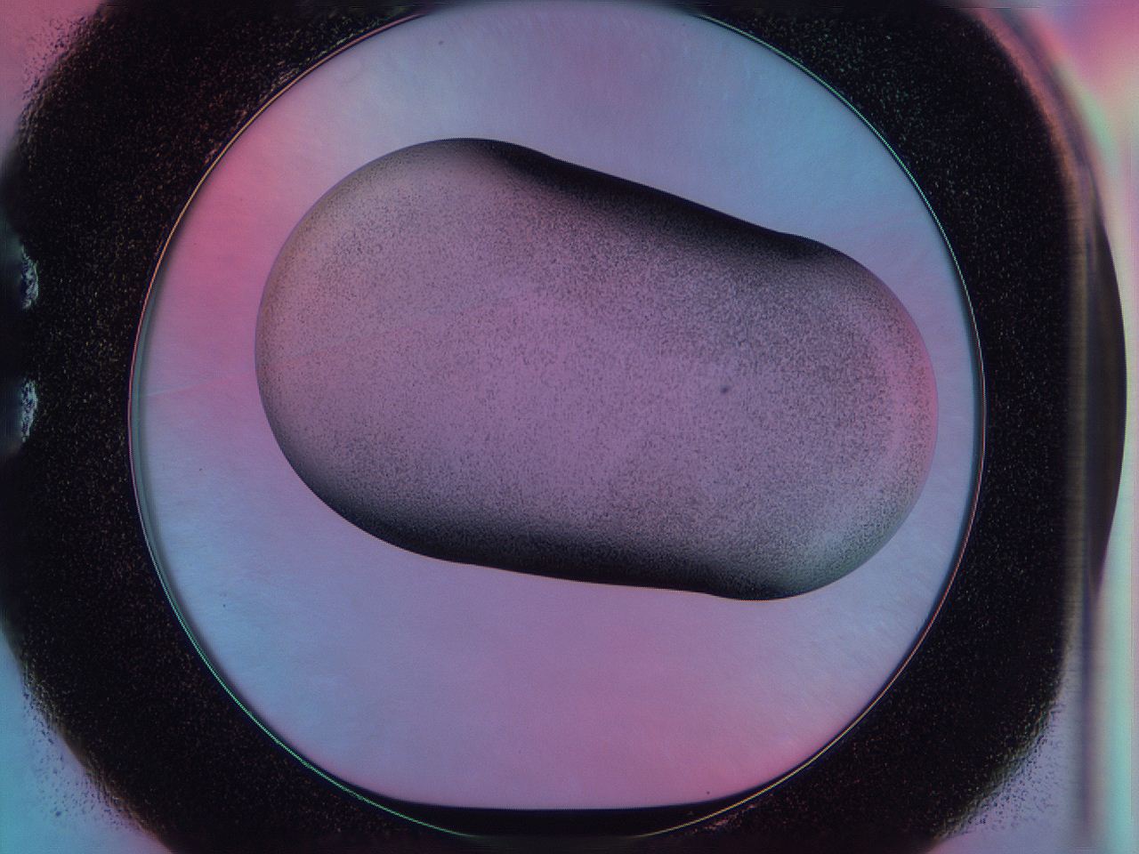0586_C1_ImagerDefaults_3.jpg