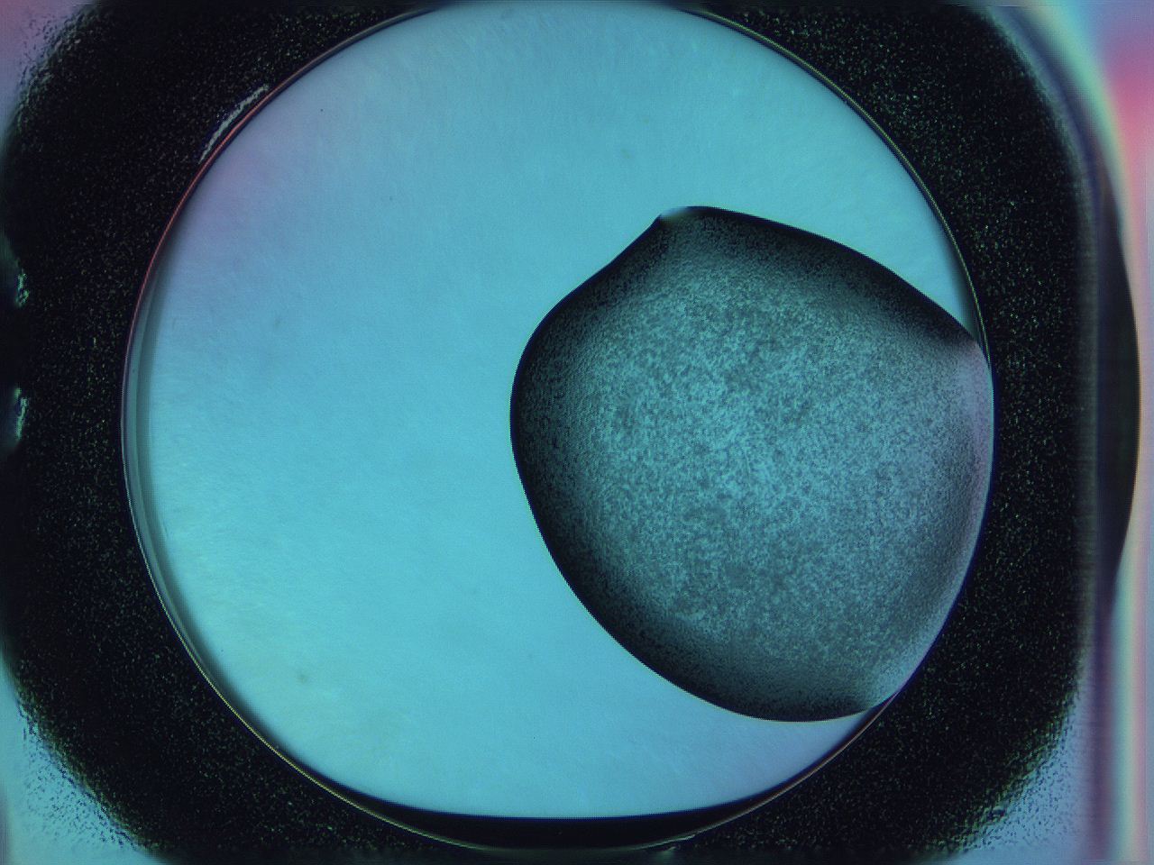 0586_C4_ImagerDefaults_3.jpg