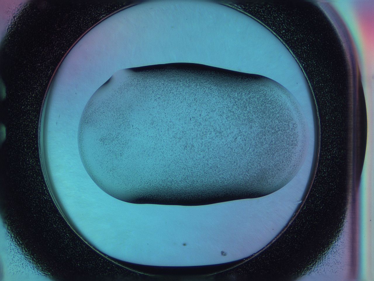 0586_C8_ImagerDefaults_3.jpg