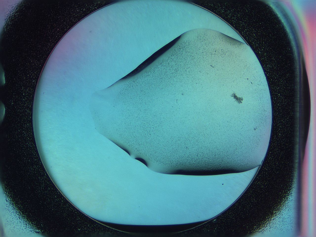 0586_C9_ImagerDefaults_2.jpg