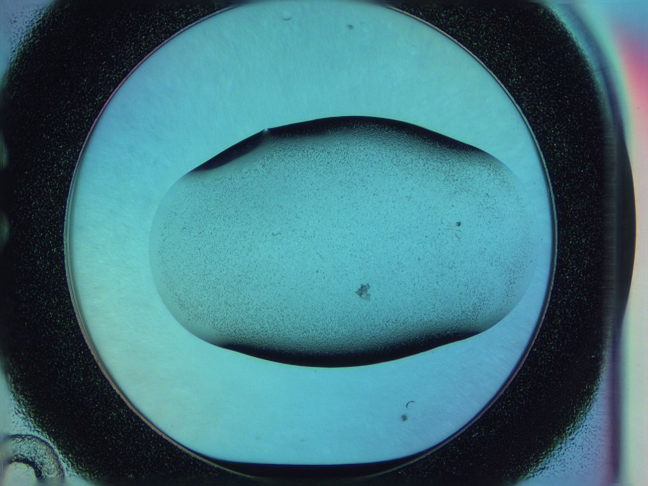0586_C10_ImagerDefaults_2.jpg