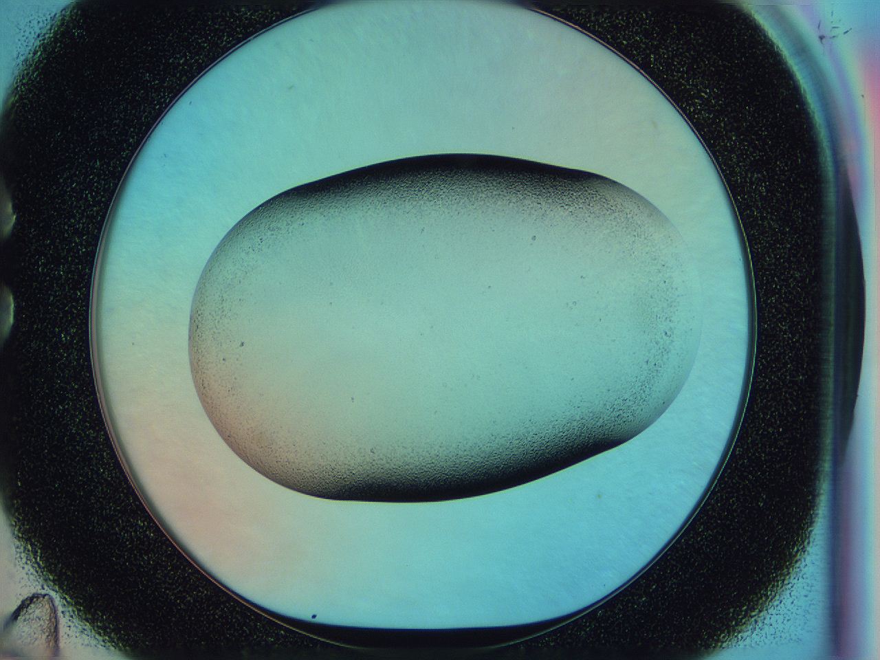 0586_C11_ImagerDefaults_2.jpg