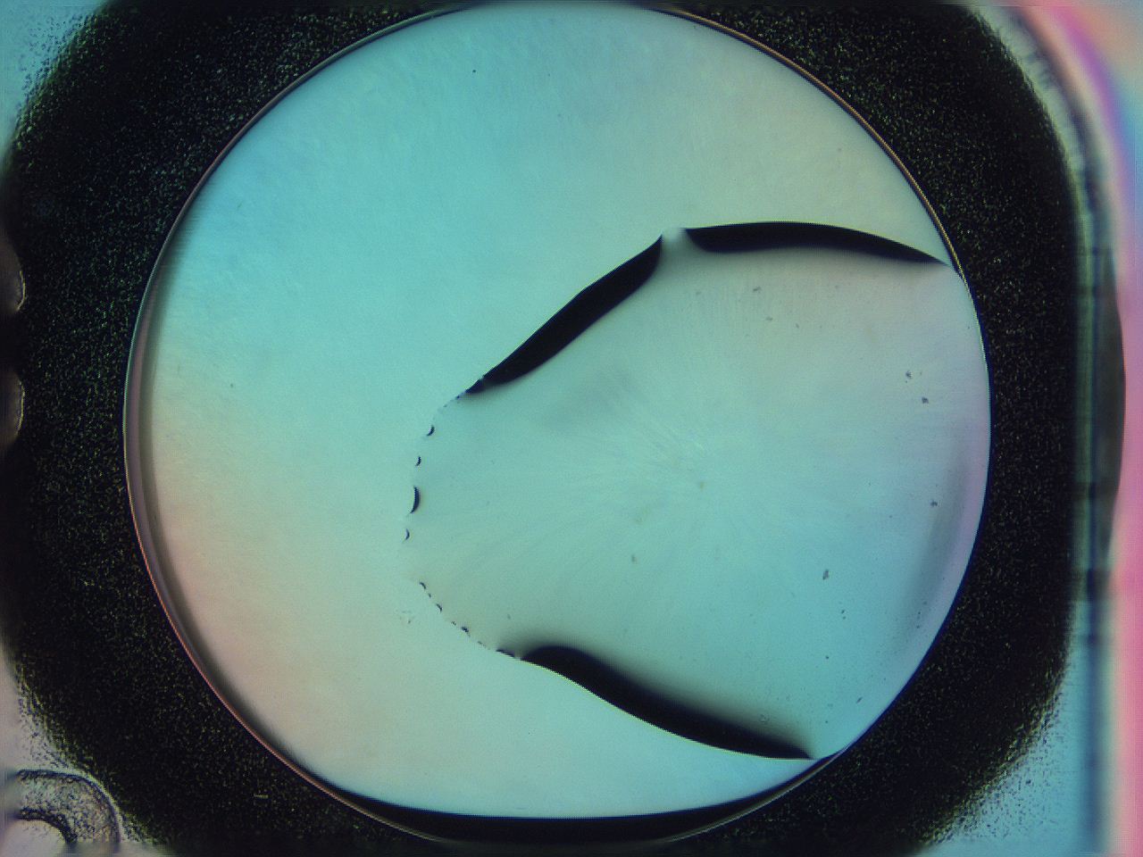 0586_C12_ImagerDefaults_0.jpg