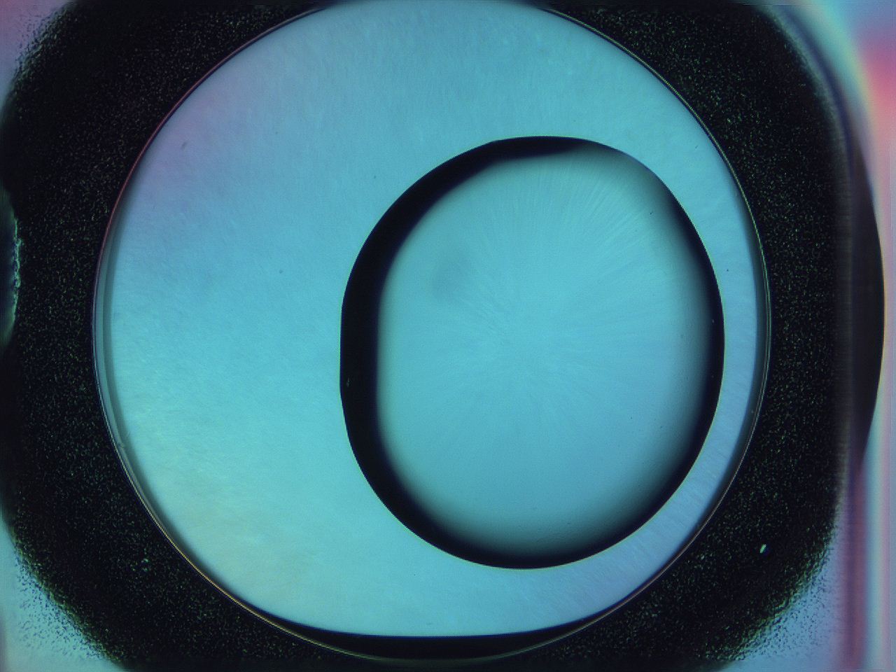 0586_D4_ImagerDefaults_0.jpg