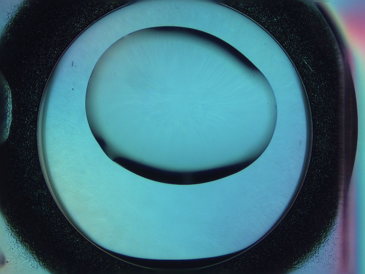 0586_D6_ImagerDefaults_0.jpg