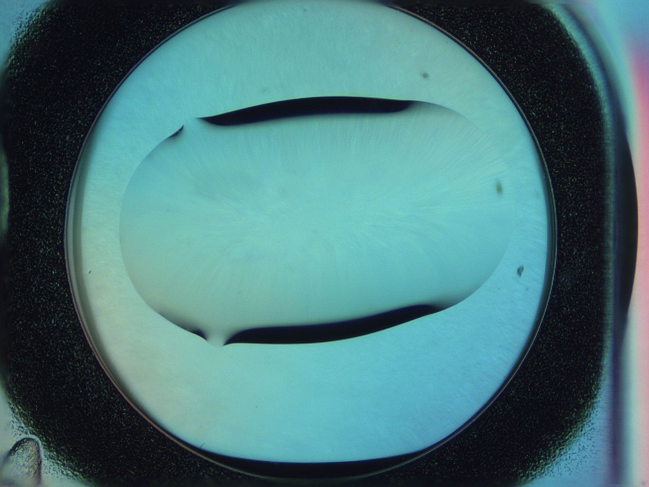 0586_D11_ImagerDefaults_0.jpg