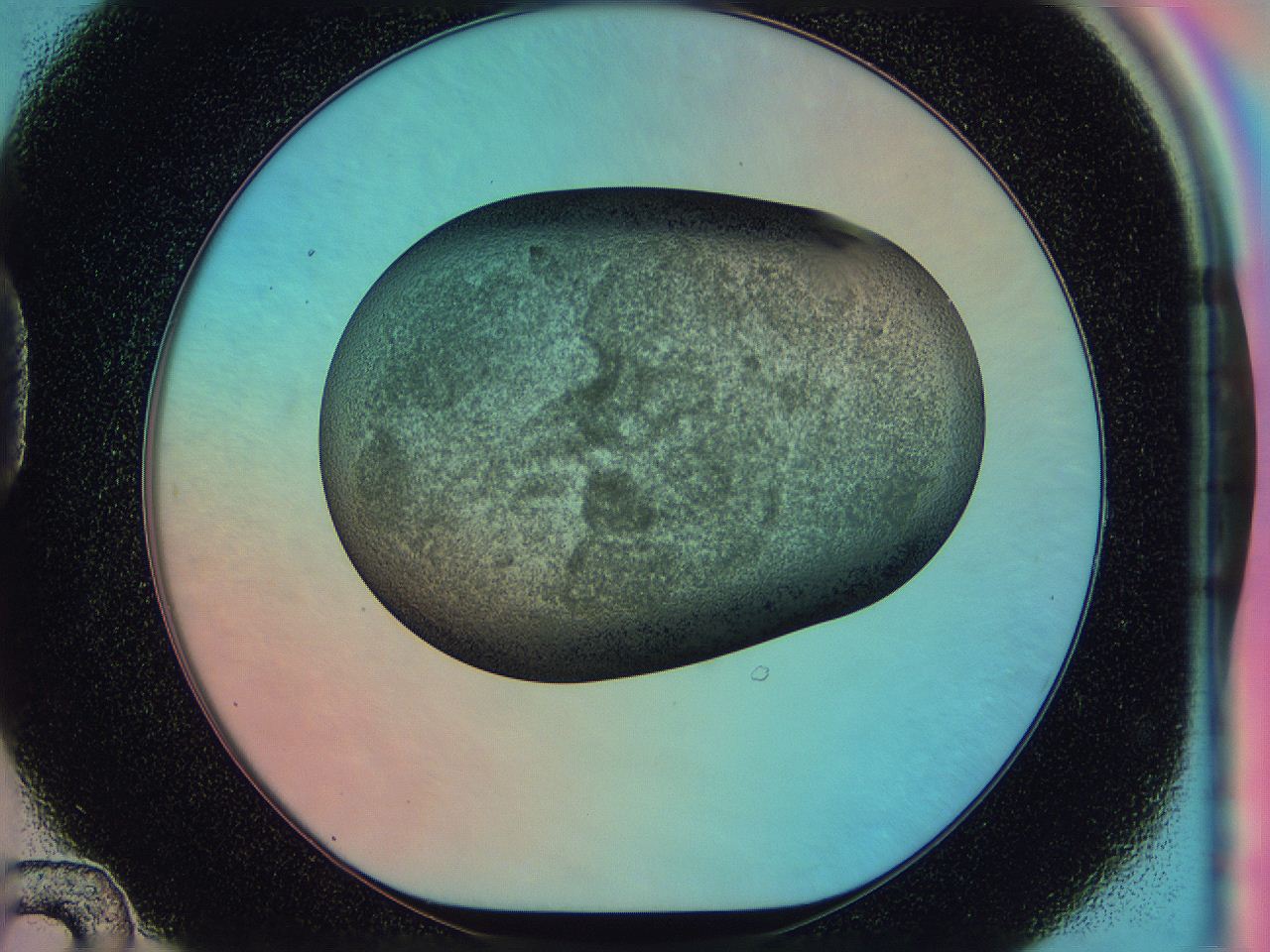 0586_D12_ImagerDefaults_3.jpg