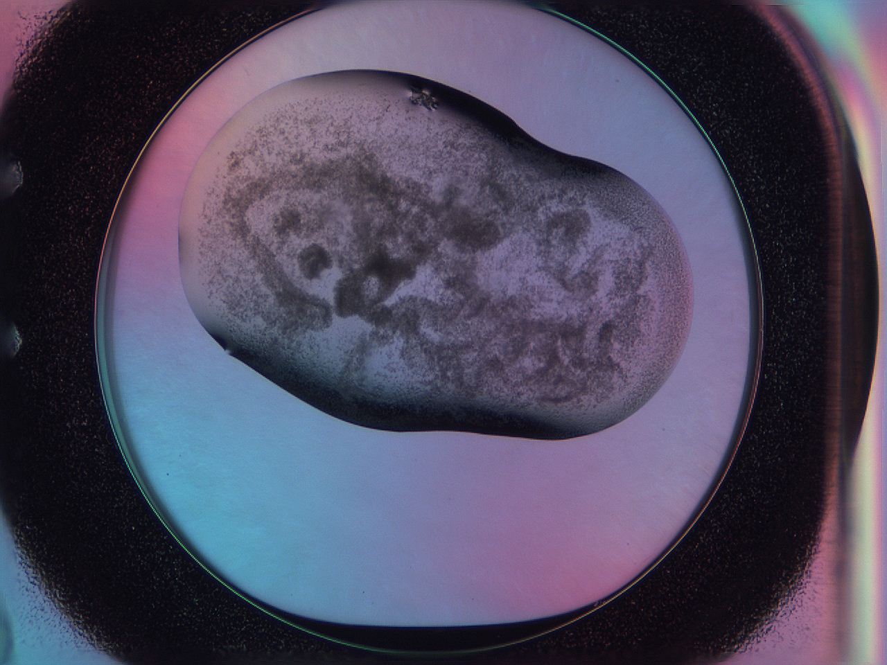 0586_E2_ImagerDefaults_3.jpg