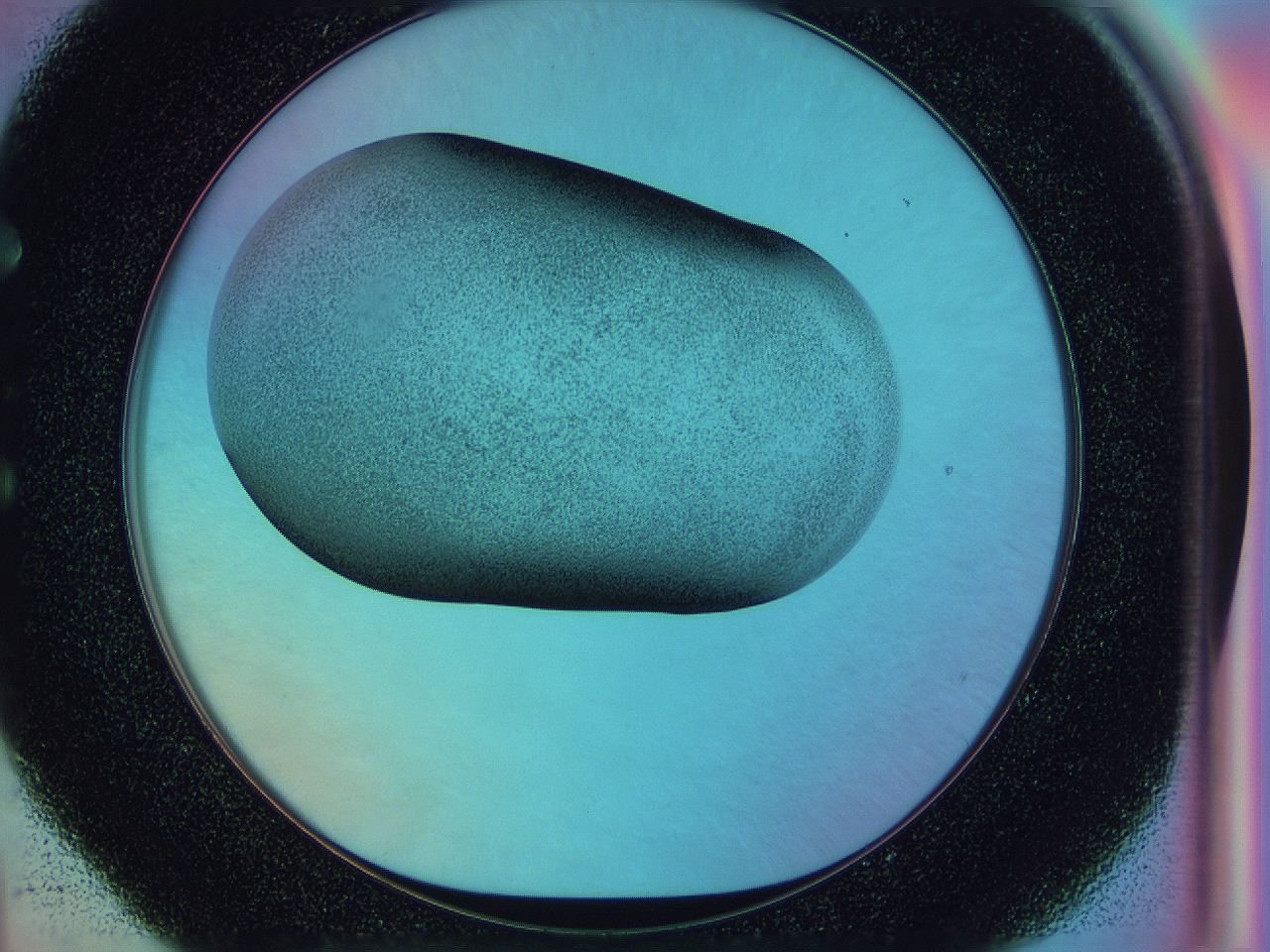 0586_E4_ImagerDefaults_3.jpg