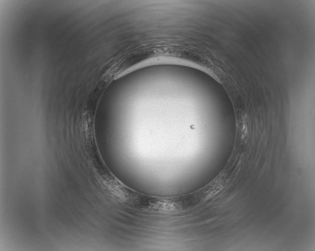 X0000055060276200508161653.png