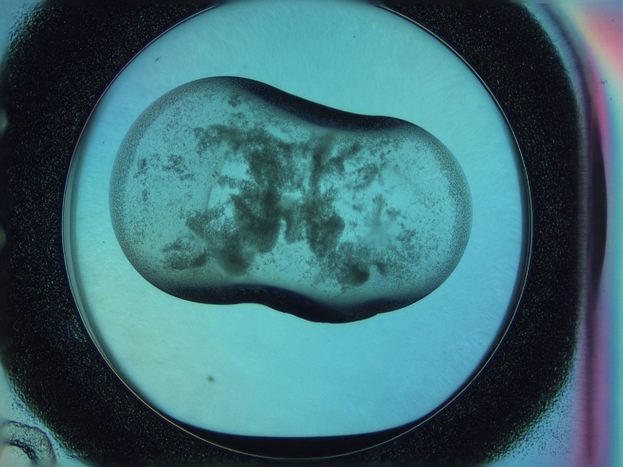 0586_E10_ImagerDefaults_3.jpg