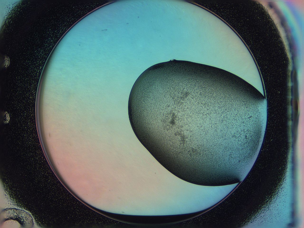 0586_E12_ImagerDefaults_2.jpg