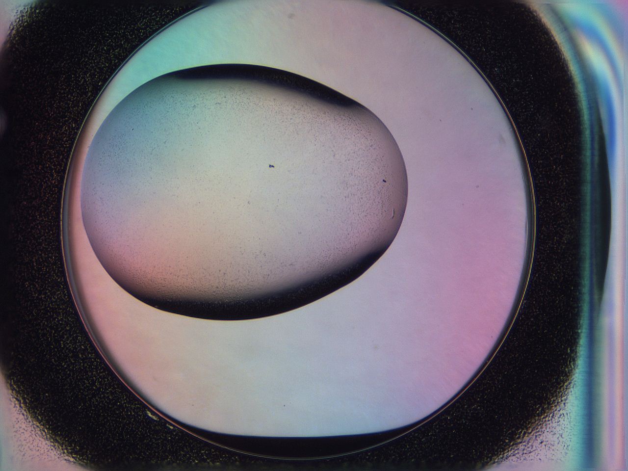 0586_F8_ImagerDefaults_2.jpg