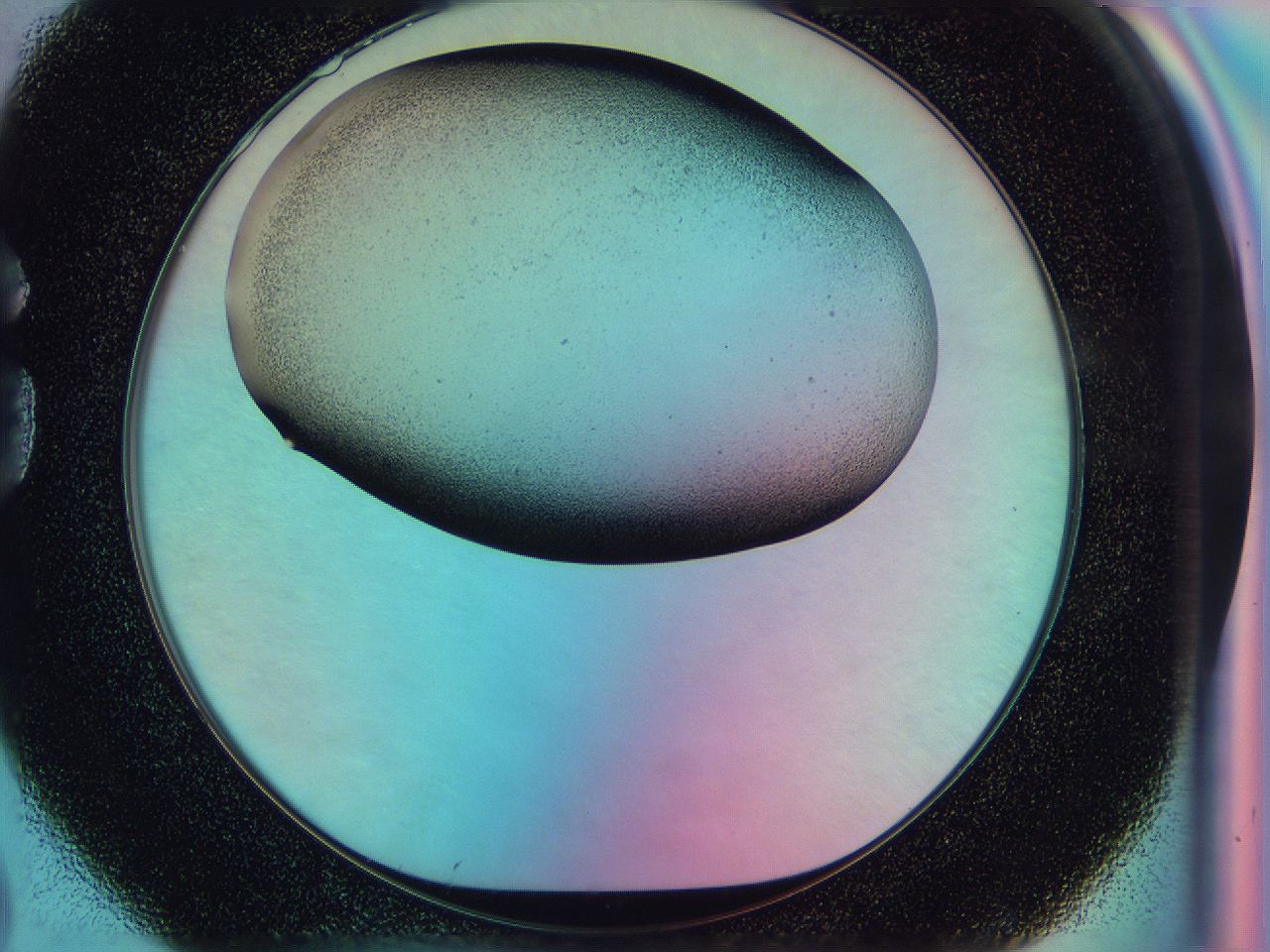 0586_G2_ImagerDefaults_2.jpg