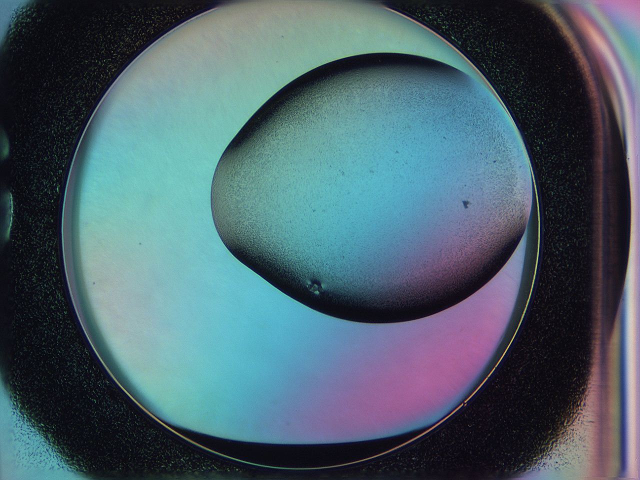 0586_G4_ImagerDefaults_2.jpg