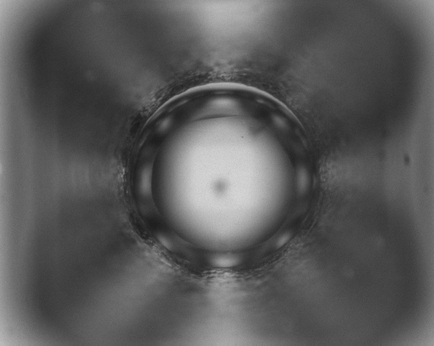 X0000040790472200410272052.png