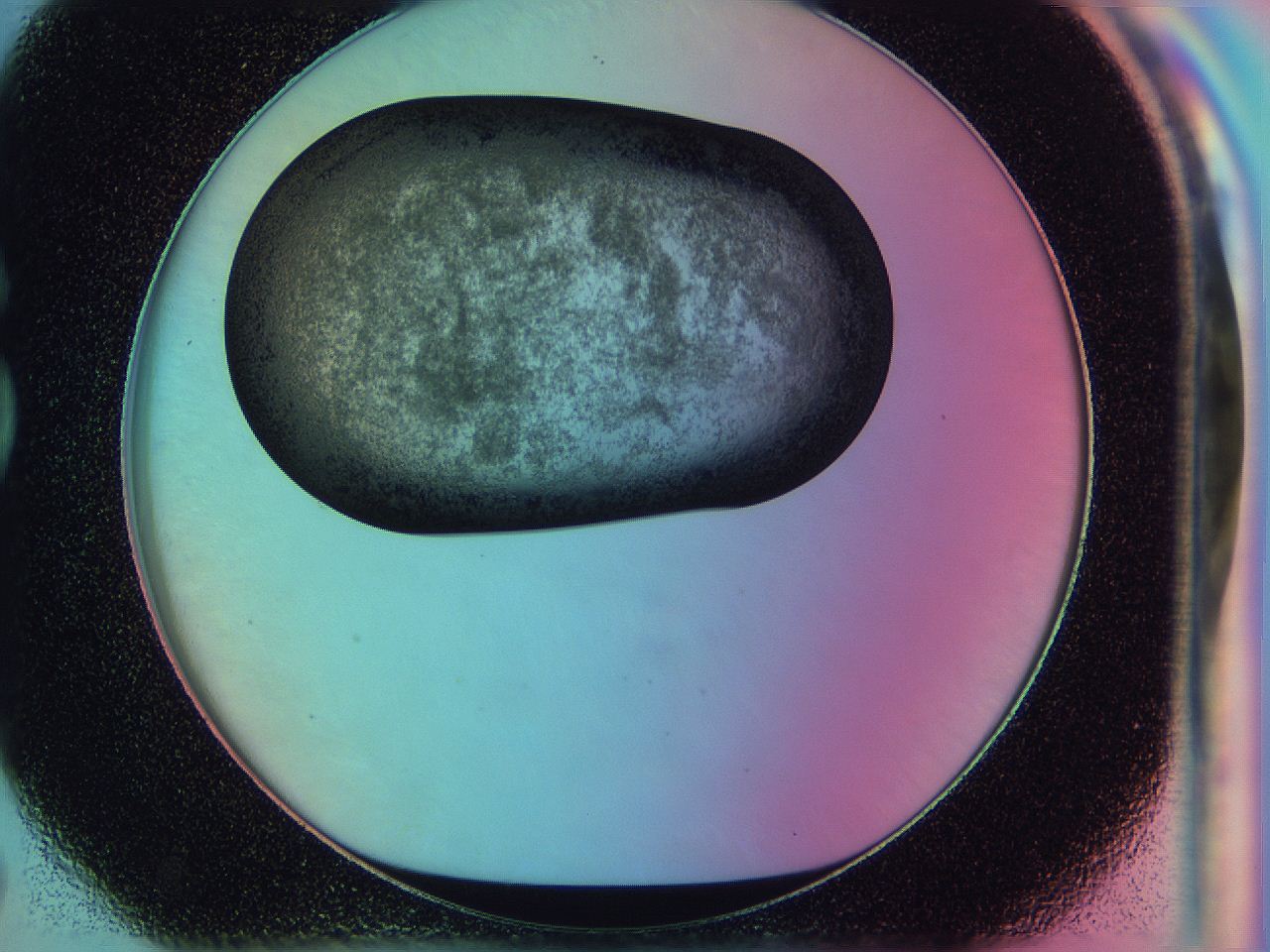 0586_G7_ImagerDefaults_3.jpg