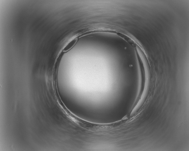X0000055061293200508161636.png