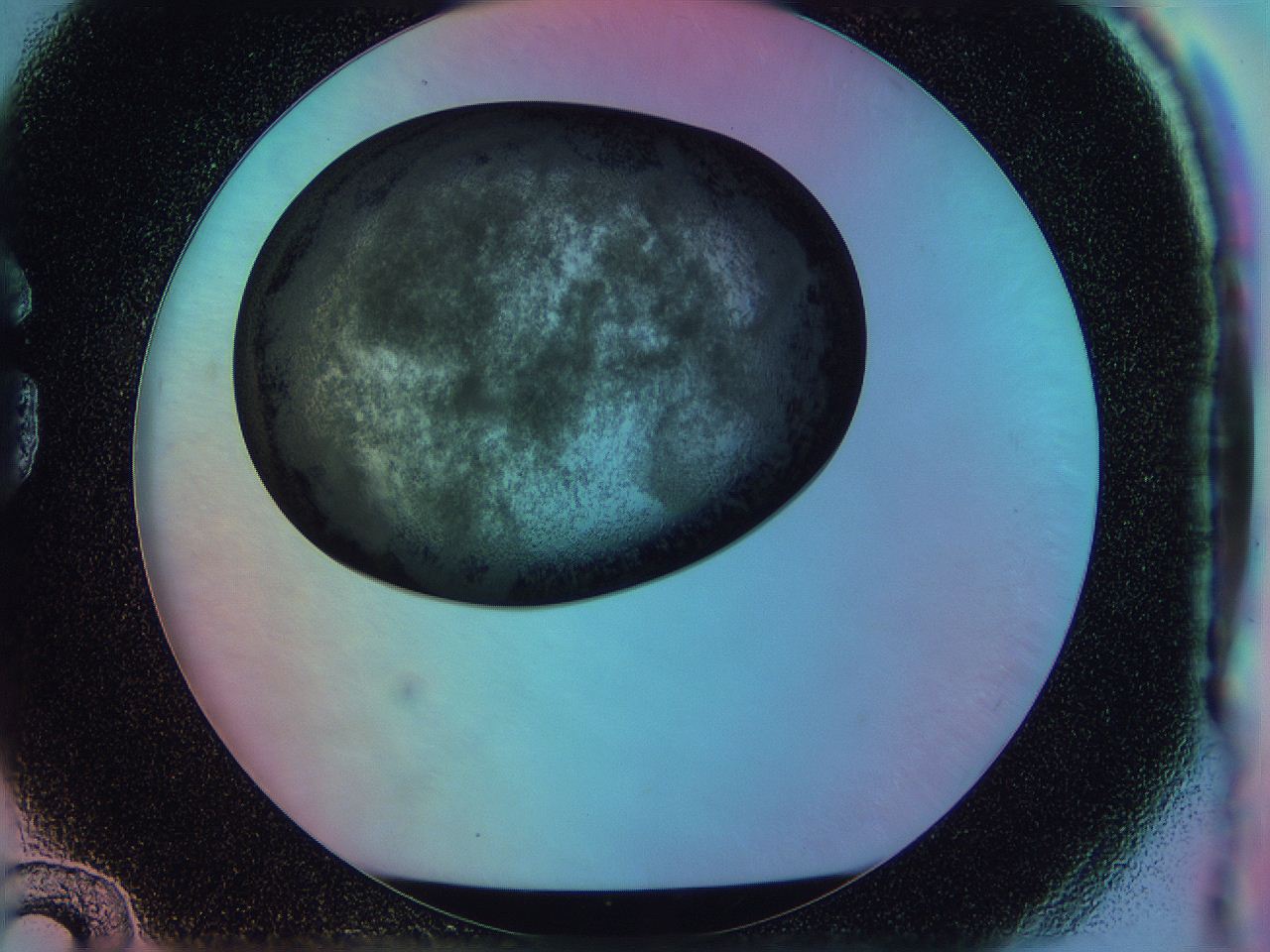 0586_G12_ImagerDefaults_3.jpg