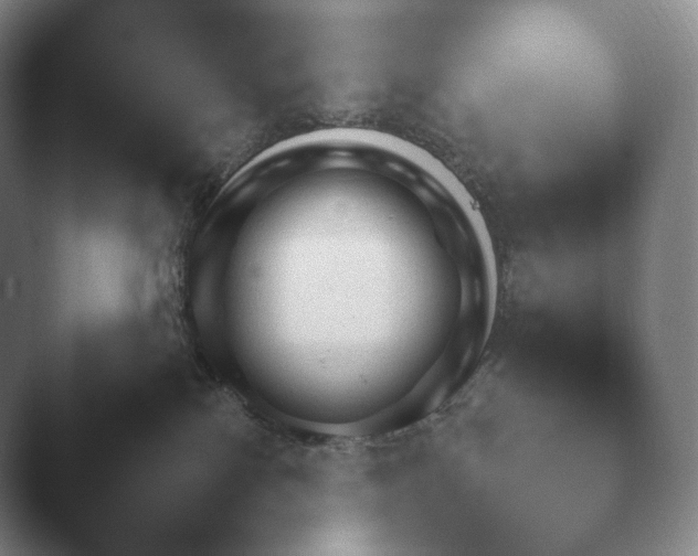 X0000045450138200502011706.png