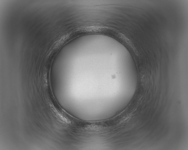 X0000055210633200508301323.png