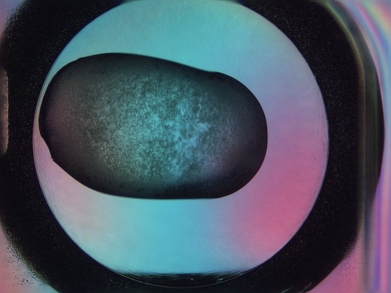 0586_H1_ImagerDefaults_3.jpg