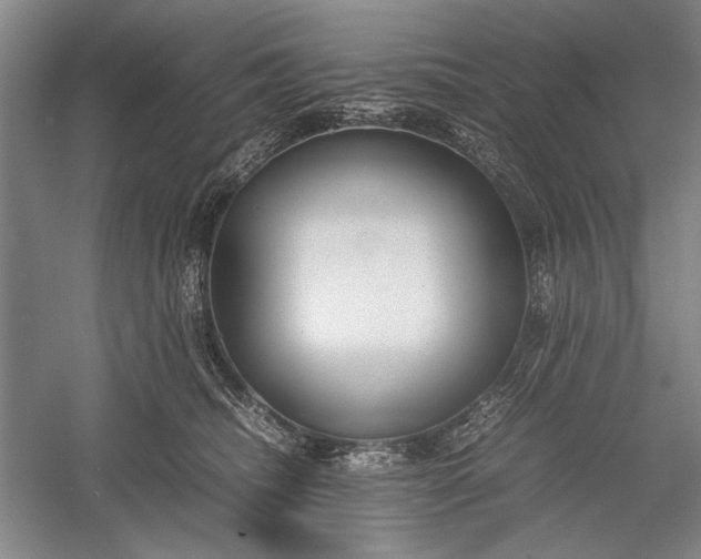 X0000055060468200508161650.png