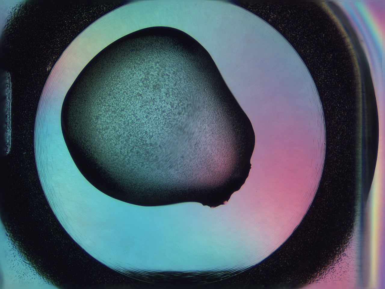 0586_H2_ImagerDefaults_3.jpg