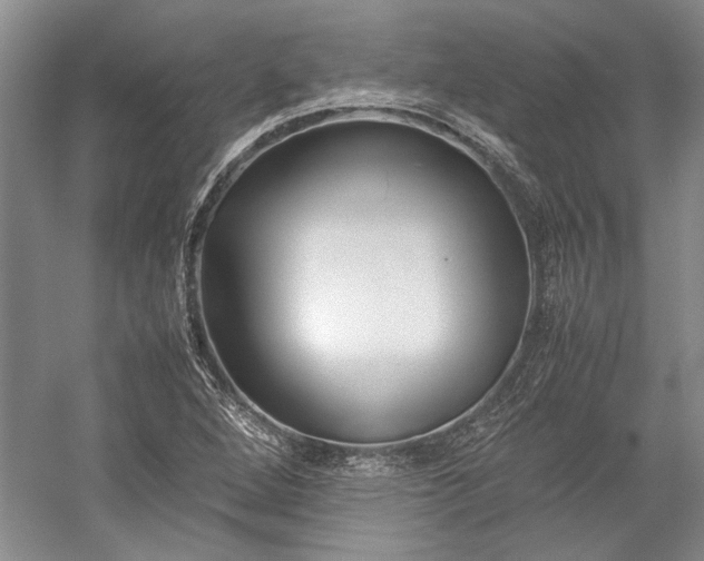 X0000055061264200508161636.png