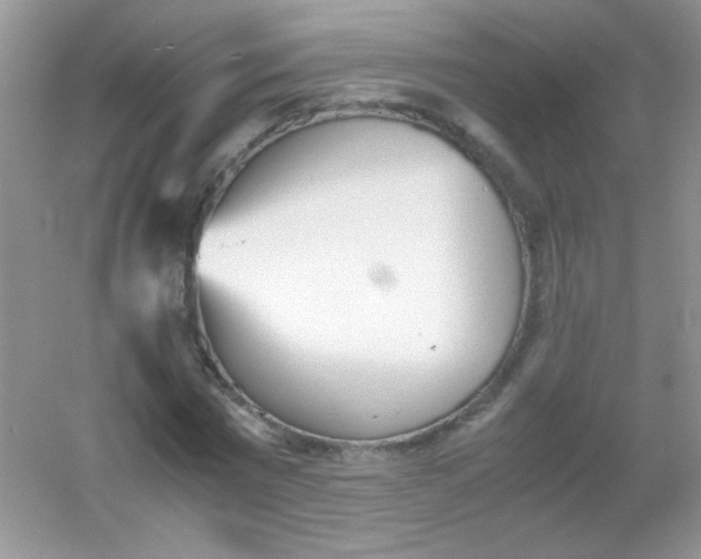 X0000054330777200508111918.png