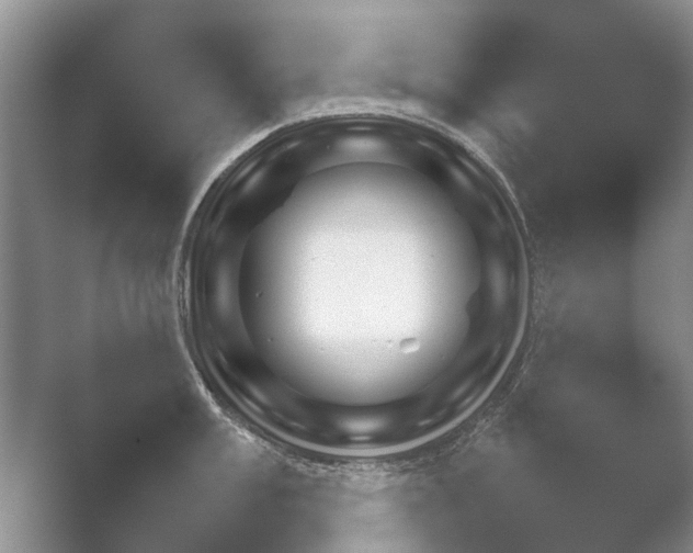 X0000052151003200507051946.png