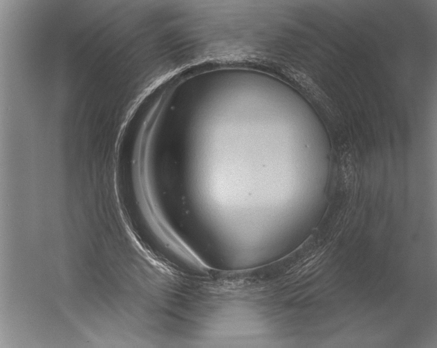 X0000055250728200509071614.png
