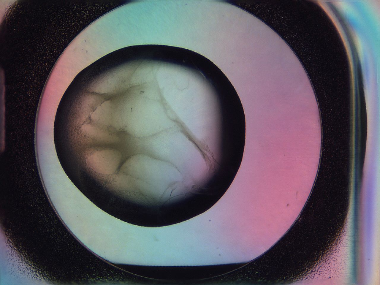 0586_H8_ImagerDefaults_3.jpg