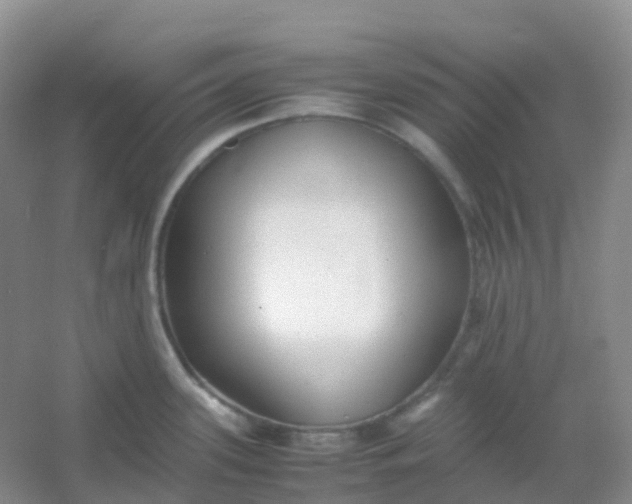 X0000054331339200508111909.png