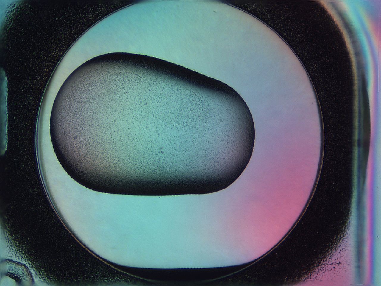 0586_H10_ImagerDefaults_2.jpg