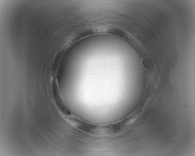 X0000054330209200508111928.png