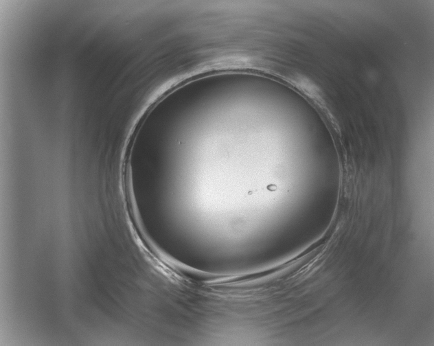 X0000055061342200508161636.png