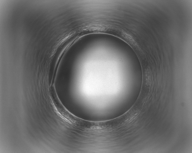 X0000055060538200508161648.png