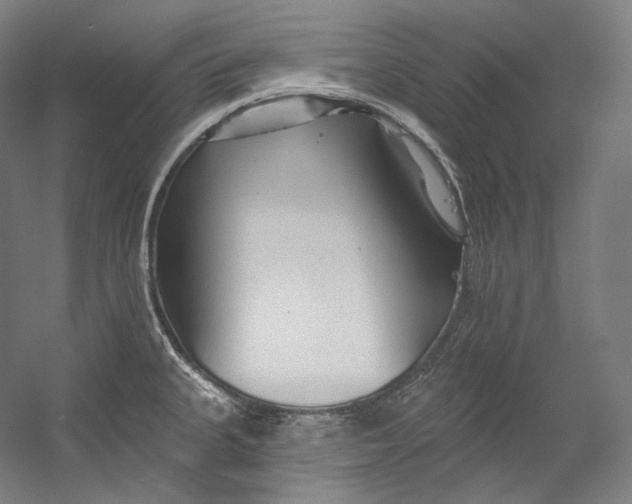 X0000055211335200508301312.png